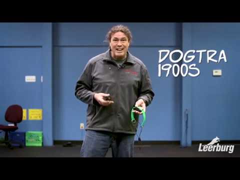 download lagu mp3 mp4 Dogtra E Collar, download lagu Dogtra E Collar gratis, unduh video klip Dogtra E Collar
