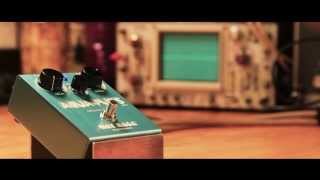 Way Huge Electronics Aqua-Puss MkII Analog Delay - What To Way Huge Electronics Aqua-Puss MkII Analog Delay - What To