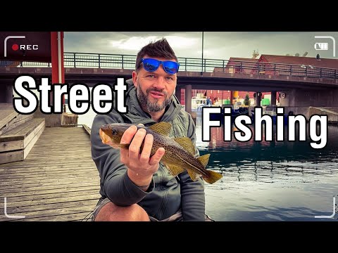 Street fishing/wędkujemy w centrum miasta/wędkarstwo w norwegii #wędkarstwo #norwegia #fishing