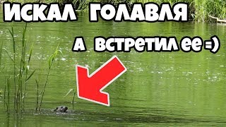 Велоче нео спиннинг