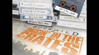 Grand Puba - I Like It (Buckwild Remix)