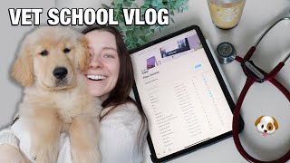DAY IN THE LIFE OF A VET STUDENT: life and puppy updates + studying for equine surgery 🐴