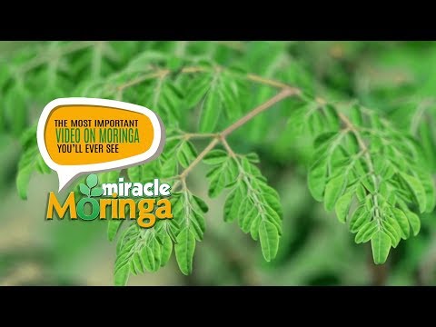 Miracle Moringa: The Documentary