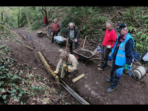 BET in Nowhere Wood 17-4-18
