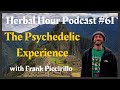 Herbal Hour 61 The Healing Power Of The Psychedelic Experience W Psychonaut Frank Piccirillo