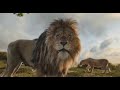 Bye Bye Mufasa The Lion King Pt 1 HD