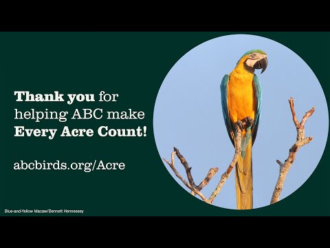 Thank you for making bird conservation possible!