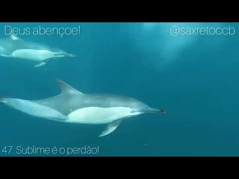 1 hora dos mais belos Hinos Cantados na CCB do Brás   Congregação Cristã no Brasil 🙏