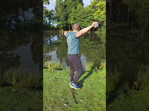 Geese 🪿 vs. stone_skimmer ⚔️  Hiw much more can my arms take? #stoneskimming #rocks #shoulderhealth