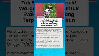 TAK PERLU MOBIL DEREK! Warga Pakai Dua Sapi untuk Evakuasi Mobil yang Terperosok ke Kebun