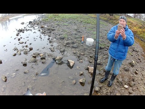 PROBAO NA FIDER USPEO NA PLOVAK - 4k VIDEO