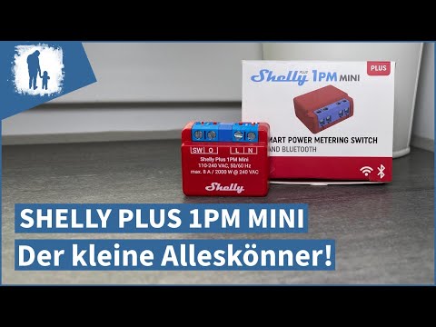 Shelly Plus 1PM Mini - ioBroker, Installation & Comparison