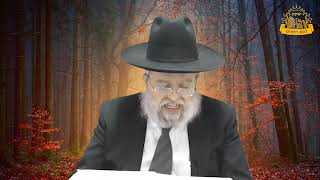 דף היומי בחצי שעה - יבמות  דף ד'