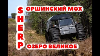 Ссылка
