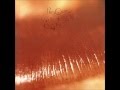 The Cure - How Beautiful You Are