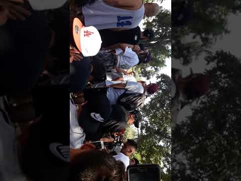 Cobardia dem battles teorema/(¿?) Vs Adeson/Des vs pepe grillo/joqerr