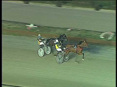 Trotto 09/02/2018 - prova di qualifica