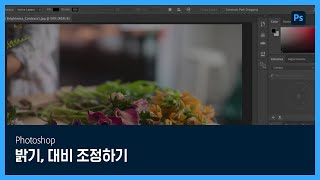 [포토샵] #8 밝기, 대비 조정하기