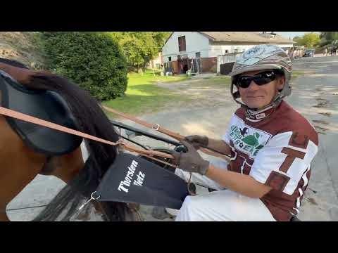 09.08.2025 Berlin Fahrer Thorsten Tietz im Heat beim Derby-Meeting auf der Trabrennbahn Mariendorf