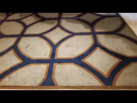 1989 Otis Entrance Elevators @ Omni in Chicago