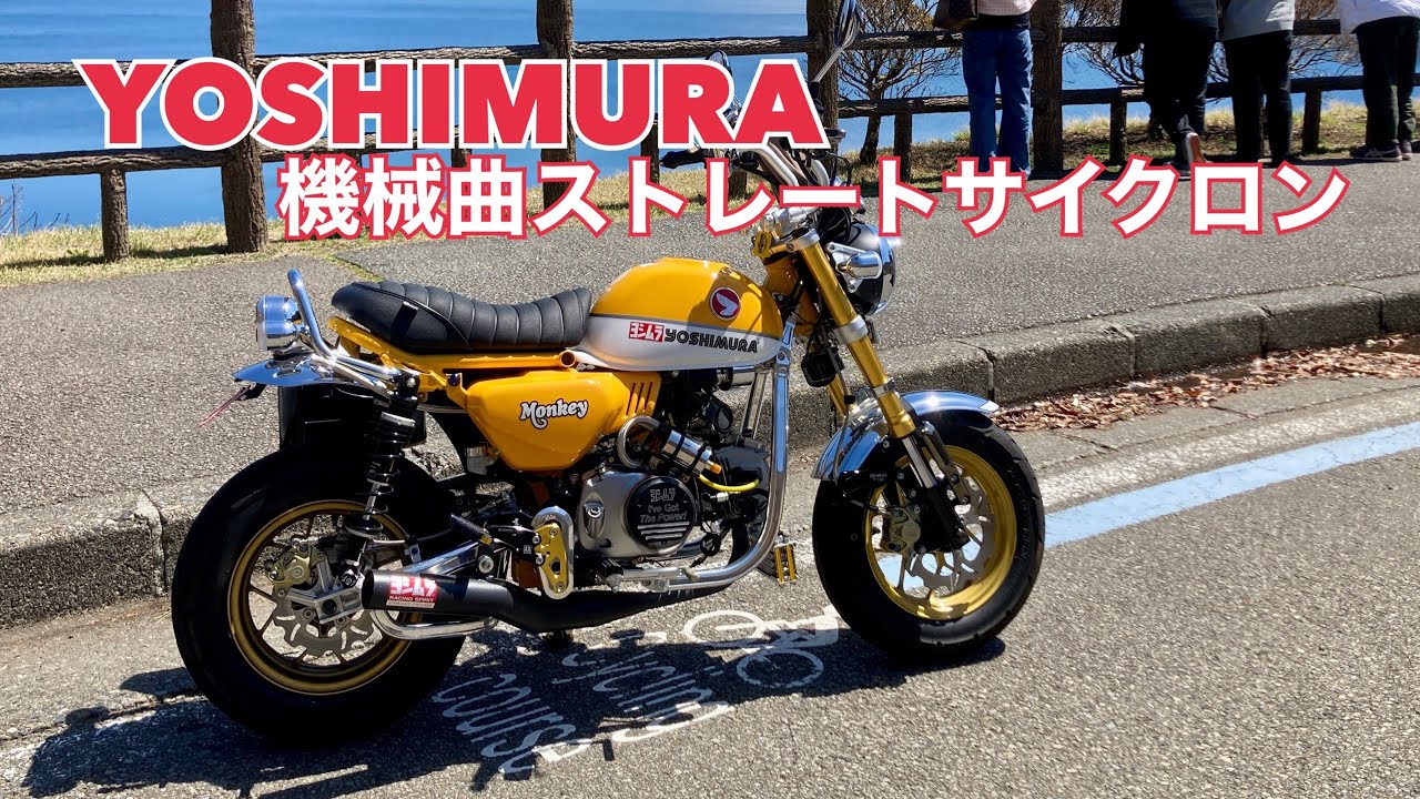 ヨシムラ 機械曲ストレートサイクロンマフラーを付けたモンキー125のサウンドを聴いてみた！ Honda Monkey 125 YOSHIMURA exhaust sound.