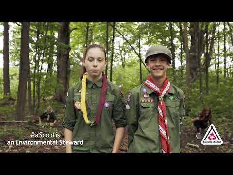 Raison n˚ 4 : Un scout est… un protecteur de l'environnement