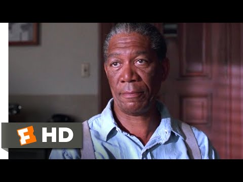 The Shawshank Redemption (1994) - Red's Parole Hearing Scene (9/10) | Movieclips