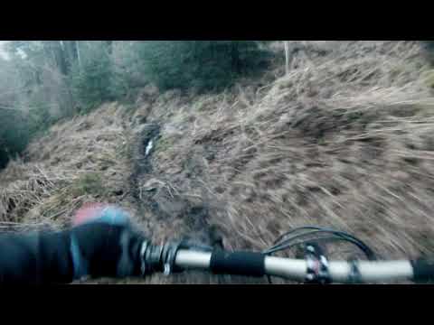 HoF Harold Bishop into Teddy bears picnic