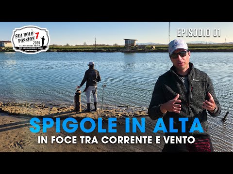 How to Fish for SEA BASS in the MOUTH with BOLOGNESE and ENGLISH | Sea Bolo Passion S7E1