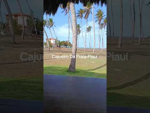 cajueiro da praia Piauí um lugar lindo pra se conhecer