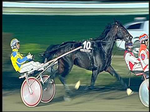 Trotto 04/11/2016 - 7ª corsa