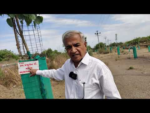 Sadbhavna vriddhashram, Rajkot , trees for RS.2500