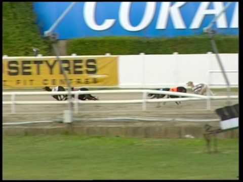 2017 CORAL SUSSEX CUP - HEAT 3 - T3 SHANEBOY RUSSELL