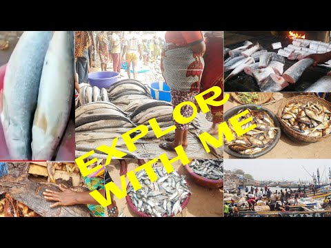 SIERRA LEONE BIGGEST FISH MARKET IN TOMBO FREETOWN with no Freezer room Freezing unit this 2022