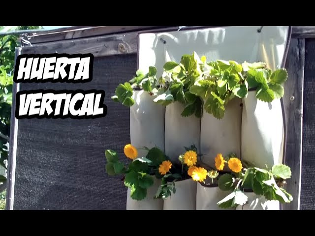 Huerta Vertical con un Toque Creativo | Una Planta