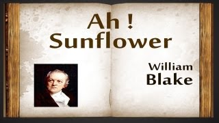 Ah! Sunflower by William Blake - Poetry Reading