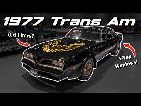1977 Pontiac Firebird Trans Am SE (CC-2090065) for sale in Rogers, Minnesota