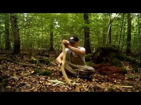 Traditional Bushcraft: Fish Spear (eel spear) part 1