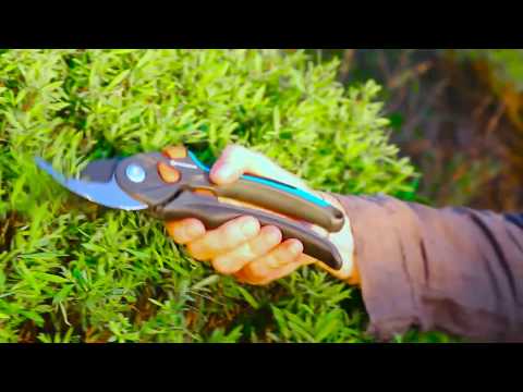 Beskärningstips med Victoria Skoglund