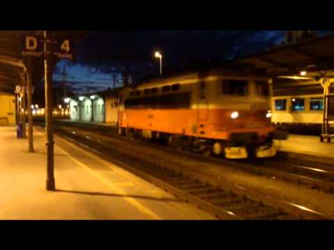 Plecháč (242) v Brně