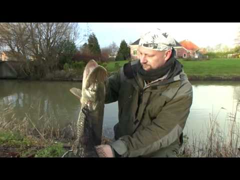 Matze Koch: Projekt Großhecht - Matzes Mätzchen 09-2012