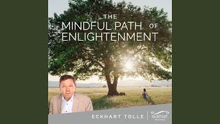 Mindfulness on the Go