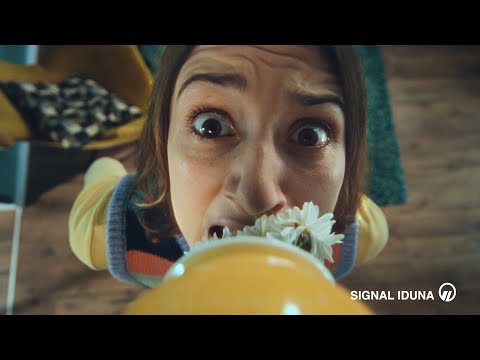 Video 2 SIGNAL IDUNA Versicherung Matthias de Vries - Versicherungsagentur