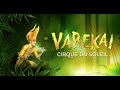 Cirque Du Soleil Varekai on Novus TV 