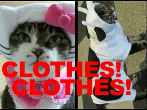 Kesha Tik Tok - Kitty Music Video