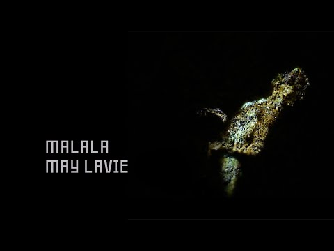 May Lavie - Malala