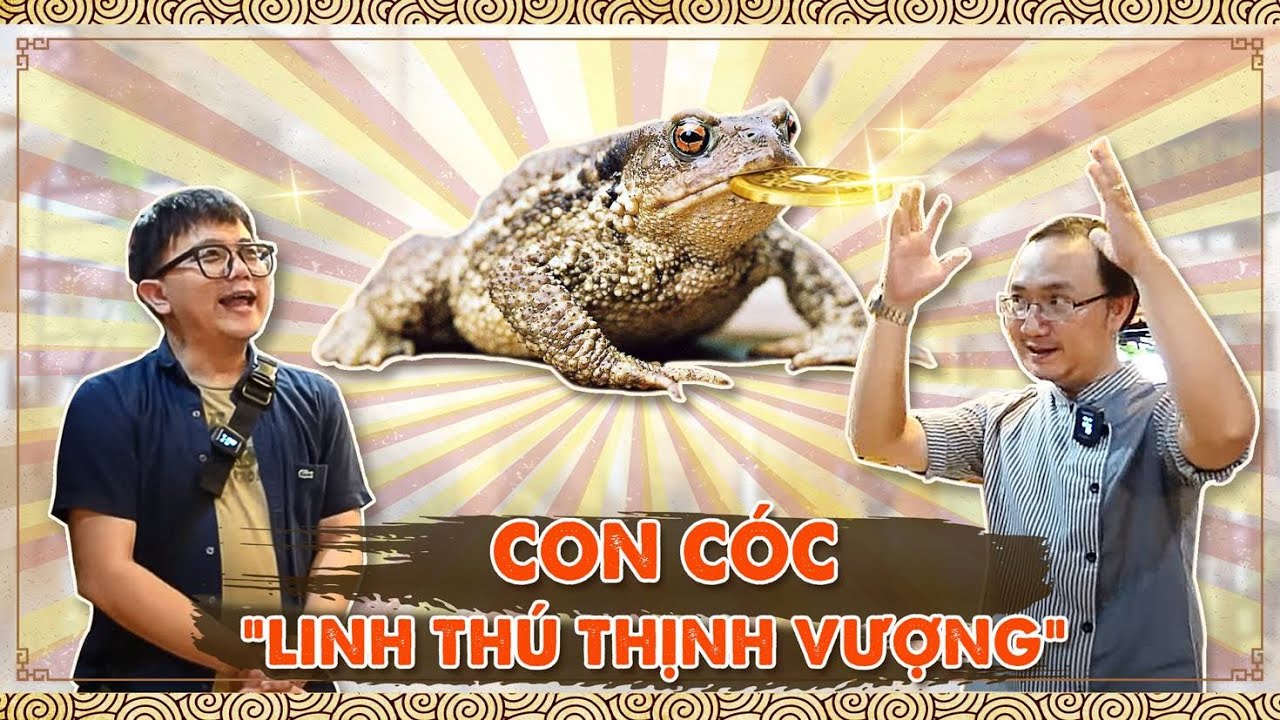 Cóc là Linh Thú Thịnh Vượng của người Việt Nam!!! | Văn Hoá Dân Gian