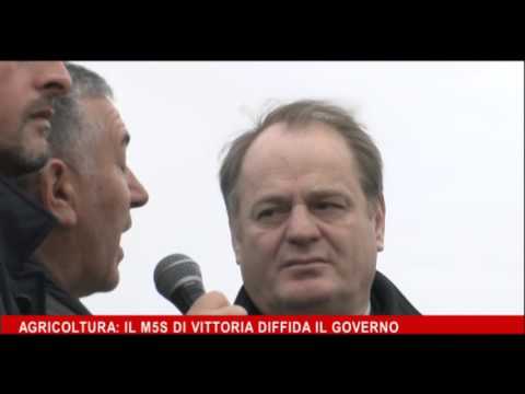 TG 17 MARZO 2016 completo