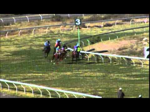 20150828 04 Hipódromo Arequipa, Carreras de Caballos