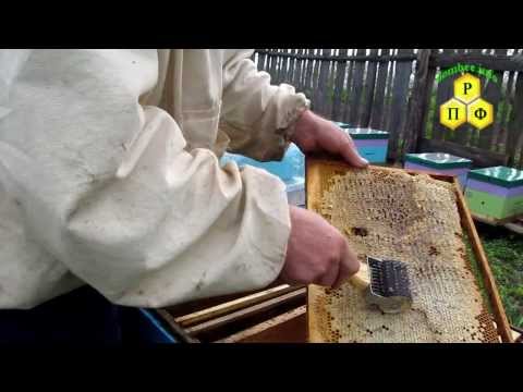 Пчеловодный пасечный ёж для распечатки сот